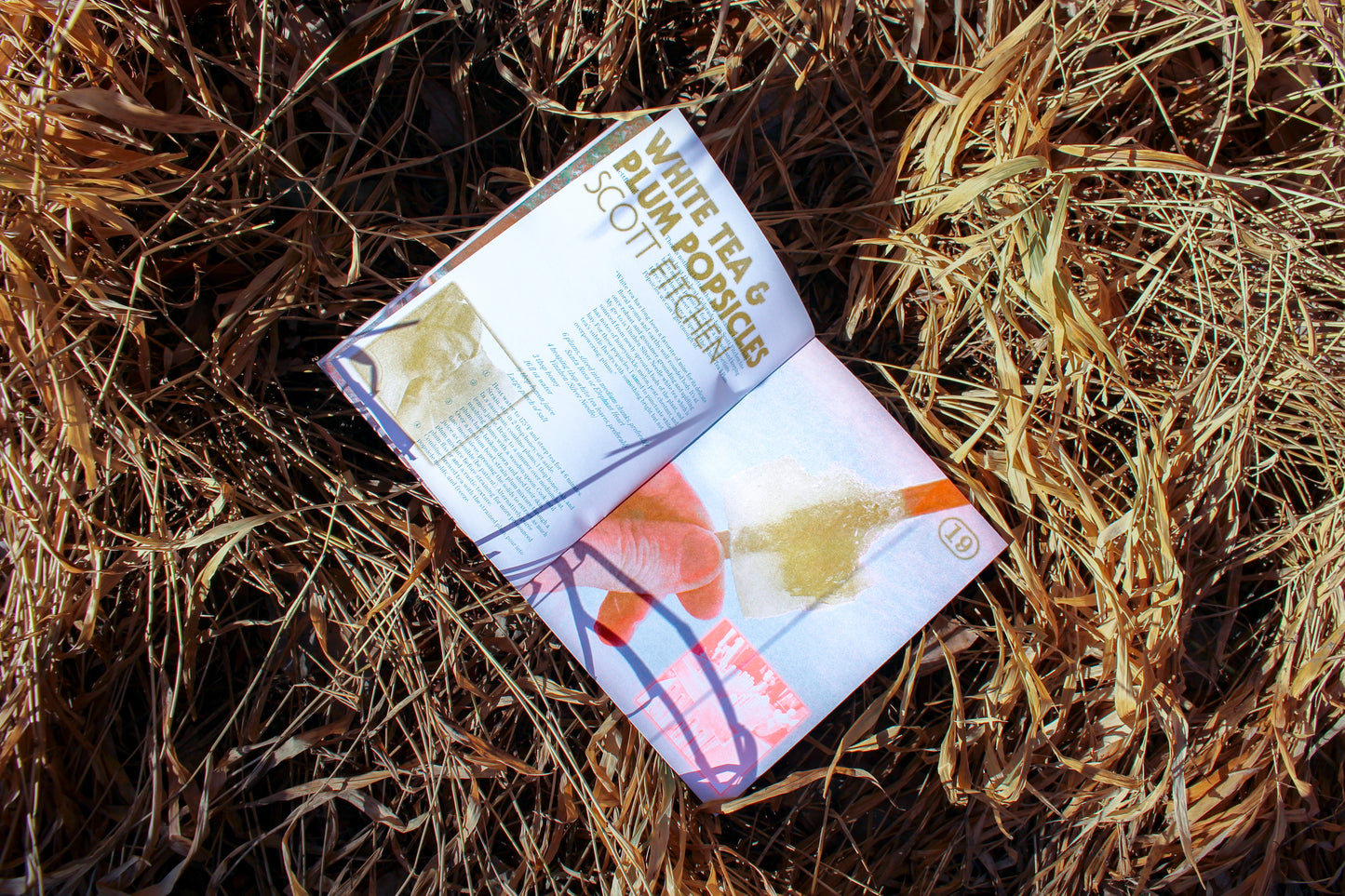 Zine Vol. 1
